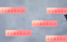 武磊傷退，海港備戰(zhàn)補(bǔ)賽。