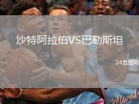 沙特阿拉伯VS巴勒斯坦