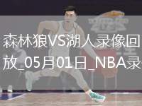 NBA季后賽西部首輪G5森林狼103-96湖人