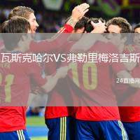瓦斯克哈爾VS弗勒里梅洛吉斯