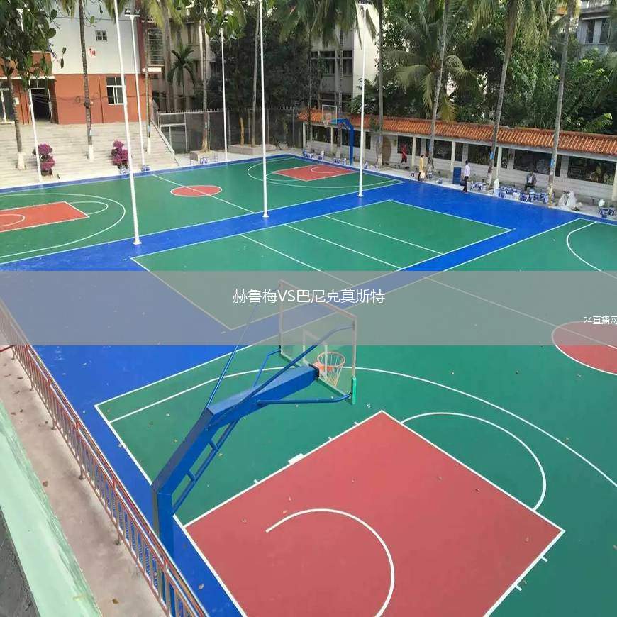 赫魯梅VS巴尼克莫斯特
