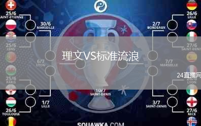 理文VS標(biāo)準(zhǔn)流浪