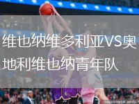 維也納維多利亞VS奧地利維也納青年隊(duì)