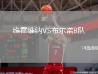 維霍維納VS布爾諾B隊