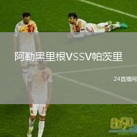 阿勒黑里根VSSV帕茨里