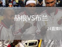 赫根VS布蘭