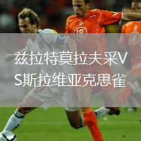 茲拉特莫拉夫采VS斯拉維亞克思雀