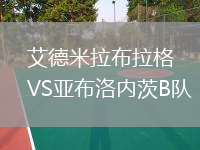艾德米拉布拉格VS亞布洛內(nèi)茨B隊