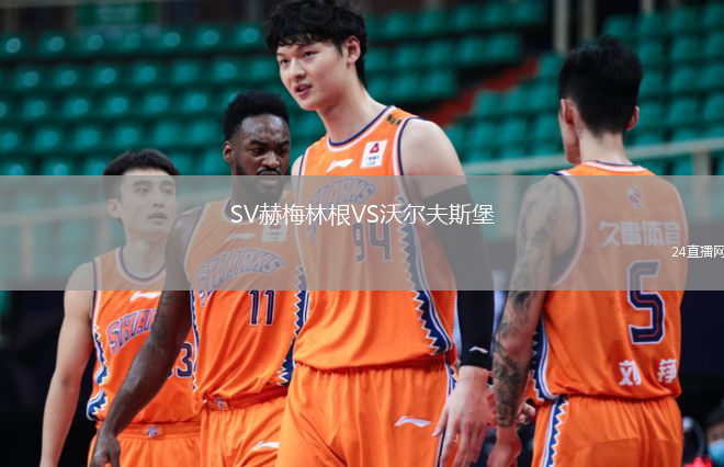 SV赫梅林根VS沃爾夫斯堡
