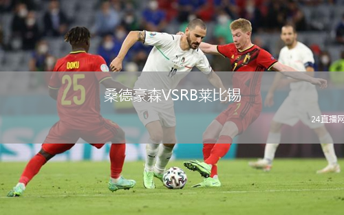 桑德豪森VSRB萊比錫
