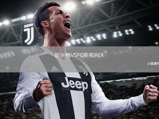 斯夫格VSFC塞弗列沃
