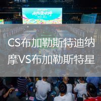 CS布加勒斯特迪納摩VS布加勒斯特星