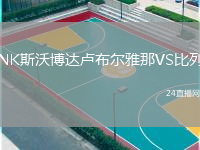 NK斯沃博達(dá)盧布爾雅那VS比列