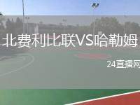 北費利比聯(lián)VS哈勒姆
