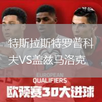 特斯拉斯特羅普科夫VS蓋茲馬洛克