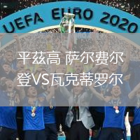 平茲高 薩爾費爾登VS瓦克蒂羅爾