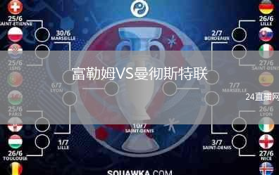 富勒姆VS曼徹斯特聯(lián)