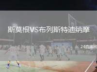 斯莫根VS布列斯特迪納摩