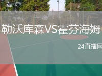 勒沃庫森VS霍芬海姆