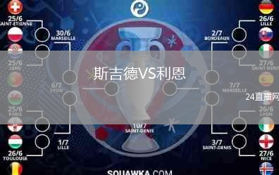 斯吉德VS利恩