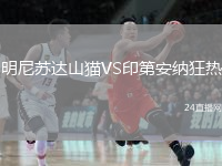 明尼蘇達(dá)山貓VS印第安納狂熱