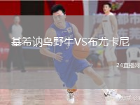 基希訥烏野牛VS布尤卡尼
