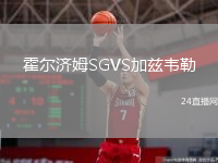 霍爾濟(jì)姆SGVS加茲韋勒