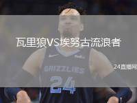 瓦里狼VS埃努古流浪者
