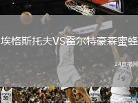 埃格斯托夫VS霍爾特豪森蜜蜂