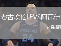 費古埃倫斯VS阿瓦伊