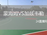 蒙海姆VS加茲韋勒