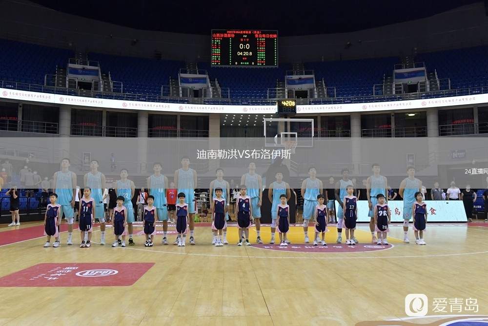 迪南勒洪VS布洛伊斯