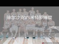 維爾沙克VS米特羅維察