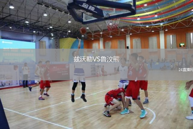 茲沃勒VS魯汶熊