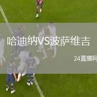 哈迪納VS波薩維吉