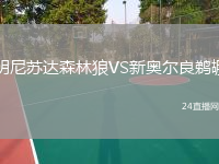 明尼蘇達(dá)森林狼VS新奧爾良鵜鶘