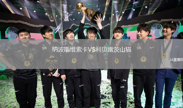 納波斯維索卡VS利貝雷茨山貓
