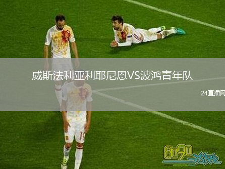威斯法利亞利耶尼恩VS波鴻青年隊(duì)