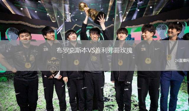 布羅克斯本VS連利弗哥玫瑰