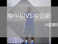 埃爾切VS埃登斯