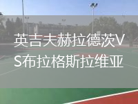 英吉夫赫拉德茨VS布拉格斯拉維亞