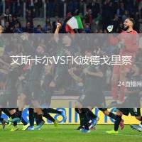 艾斯卡爾VSFK波德戈里察