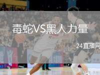 毒蛇VS黑人力量