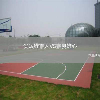 愛(ài)媛維京人VS奈良雄心
