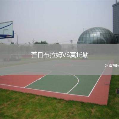 普日布拉姆VS莫托勒