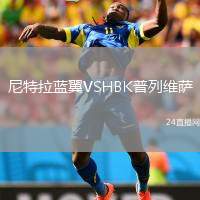 尼特拉藍(lán)翼VSHBK普列維薩