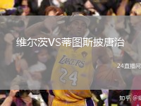 維爾茨VS蒂圖斯披唐治