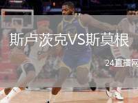 斯盧茨克VS斯莫根