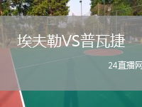 埃夫勒VS普瓦捷