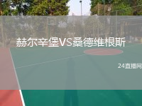 赫爾辛堡VS桑德維根斯